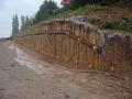 Reinforced revetment